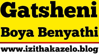 Gatsheni Clan Praisesâ¤ï¸Izithakazelo zakwa Gatsheni [upl. by Kilian]