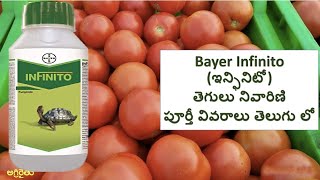 Bayer Infinito ఇన్ఫినిటో Fungicide in Telugu  Fluopicolide  Propamocarb Hydrochloride [upl. by Lika341]