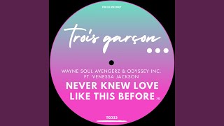 Never Knew Love Like This Before Trois Garcon Mix [upl. by Charmain]