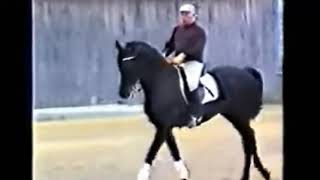 Dressage Legend Willi Schultheis  Schooling At Home [upl. by Enihpad]