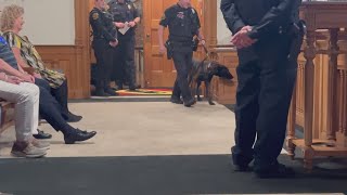 New Bern Police Department welcomes new K9 officer [upl. by Mattox838]