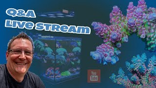 📢 QampA Meerwasser Aquaristik Talk ⭐ Ich beantworte eure Fragen ⭐ [upl. by Yenot]