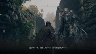 【12】エルデンリング PS5版【霧の森の廃墟】 [upl. by Eirrehs]