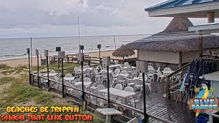 St George Island Live Cam  Florida beach live webcam  Gulf Coast Live Cam [upl. by Aigroeg]