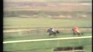 Horse Racing Killiney 1971 amp 1973avi [upl. by Pirozzo800]