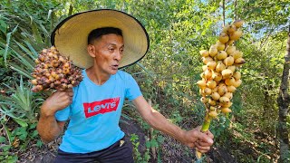 La fruta silvestre piñuela amarilla [upl. by Mccreery]