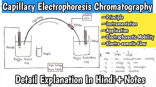 Capillary Electrophoresis Chromatography  Electrophoretic Mobility  Electroosmotic Flow MScNotes [upl. by Kramnhoj]