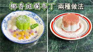 椰香斑斕布丁濃濃椰香味，絲滑Q彈，大人小孩都喜歡的冰涼甜品🍮🌈 [upl. by Terrie]