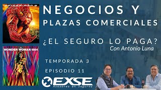 ¿El Seguro lo paga  Temporada 3  Episodio 11  Negocios y Plazas Comerciales [upl. by Emeline]