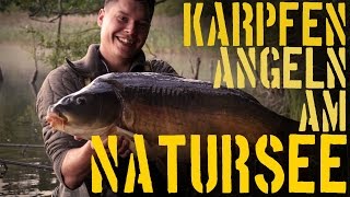 Karpfenangeln am großen Natursee  Taktiken Montagen amp heiße Drills [upl. by Anairuy644]