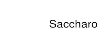 How to pronounce Saccharomyces [upl. by Errehs840]