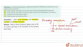 Assertion Both apical meristem and intercalary meristem areprimary meristems [upl. by Enitsuj]