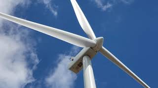 windmill in Lyford Texas [upl. by Auot178]