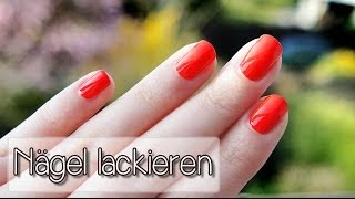 Nägel sauber lackieren  Tutorial  Collchen14 [upl. by Goetz]