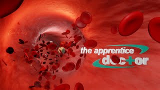 Blender 283 Medical Animation  Aortic Compliance  Windkessel Effect [upl. by Bakerman]