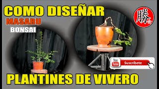 COMO DISEÑAR UNA CASCADA  FUTURO BONSAI DE LIGUSTRINA DE VIVERO  PRIMER TRABAJO [upl. by Hsiri]