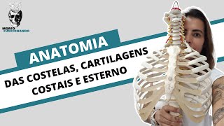 ANATOMIA DAS COSTELAS CARTILAGENS COSTAIS E ESTERNO CAIXA TORÁCICA 3 [upl. by Ardnuat]