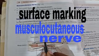 surface marking of musculocutaneous nerve anatomy [upl. by Rephotsirhc765]