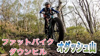 ファットバイクでダウンヒル オダッシュ山 [upl. by Maxfield984]