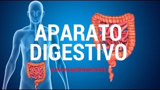 Aparato digestivo sistema gastrointestinal [upl. by Balthazar]