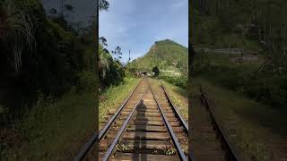 Idalgashinna ceylon travel nature srilankan travelceylon [upl. by Fonville]