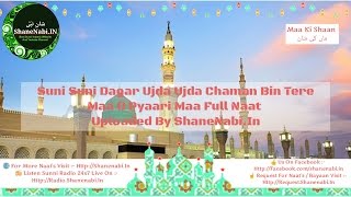 Suni Soni Dagar Ujda Ujda Chaman Tere Bin Maa O Meri Pyari Maa Maa Ki Shaan Shamim Faizi New Naats [upl. by Annait]