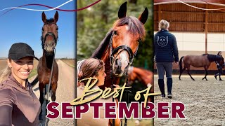 Ein Liebling zieht aus 🥺  BEST OF SEPTEMBER 2024 [upl. by Lekkim]