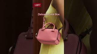 5 Delvaux Bags That Are Worth Collecting shorts [upl. by Eggleston]