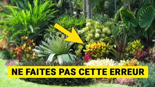 15 Plantes TROPICALES pour Jardin 😍 Plantes Exotiques [upl. by Ylhsa580]