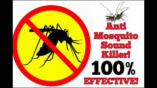 FREE anti Mosquito sound 100 EFFECTIVE [upl. by Marcelline]