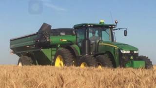 Frederick Harvesting wheat harvest 2016 [upl. by Anilosi]