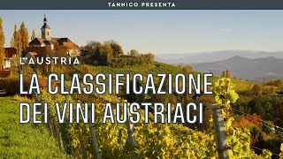 La classificazione dei vini austriaci  Tannico Flying School [upl. by Norm324]