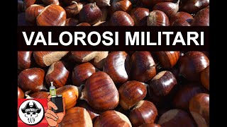 VALOROSI MILITARI [upl. by Demetris136]