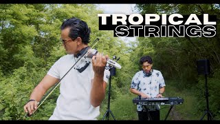 TROPICAL STRINGS  Carlos Ro Violin ft Lex F [upl. by Adriell]