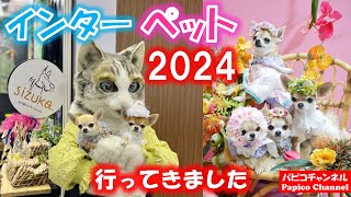 【インターペット2024】日本最大級のペットイベントに、今年も行ってきました。 [upl. by Adnolrehs]