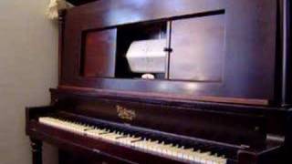 THE WATERMELON TRUST RAG 1906 Player Piano Ragtime [upl. by Hsina942]