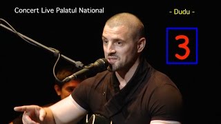 Pavel Stratan  Dudu  Palatul National  concert live [upl. by Lunsford]