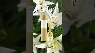 Difuzoare Tenora parfum difuoareparfum parfumcasa [upl. by Anairda]