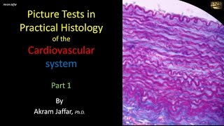 Picture tests in histology of the cardiovascular system 1 [upl. by Schwinn]