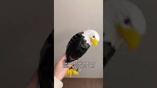 Eagle lamp giftideas homelighting decorgoals glowup [upl. by Heimer]