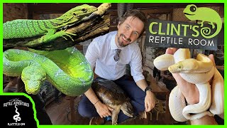 CLINTS REPTILE ROOM GRAND OPENING [upl. by Peckham253]