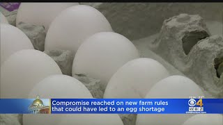 Compromise Reached On New Farm Rules That Could Have Led To Egg Shortage [upl. by Gnahc]