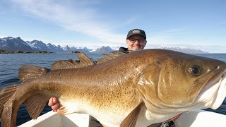 Longline Fishing Commercial Fishermen Fishing Catch Giant Cod and Halibut On the Boat [upl. by Nert]