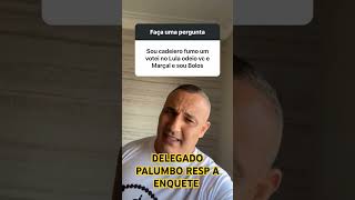 Delegado Palumbo responde enquete [upl. by Tesil]