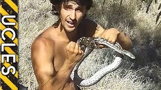 Carpet Python Tracked and Caught [upl. by Malvina]