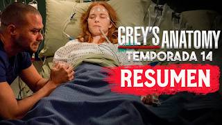 GREYS ANATOMY Temporada 14 RESUMEN EN 1 VIDEO [upl. by Lemire620]