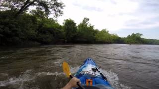 Kayaking the Tallapoosa River from HorseShoe Bend to Jaybird Creek Lake Martin Alabama [upl. by Eemiaj]