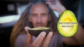 Rob Machados Inspiration Behind The Machadocado 🥑  Firewire Surfboards [upl. by Papotto]