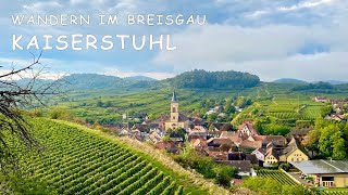 Kaiserstuhl  Wandern im Breisgau  große 20km Runde [upl. by Aseral]