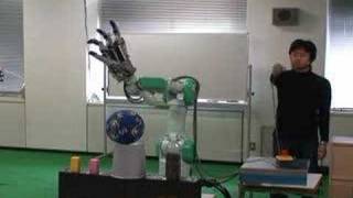 Future robotsMotion execution by robot hand [upl. by Ellenhoj666]